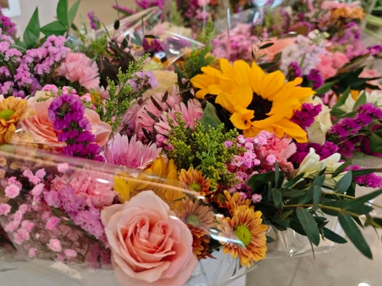 春日綻芳華 情暖女神節(jié)?